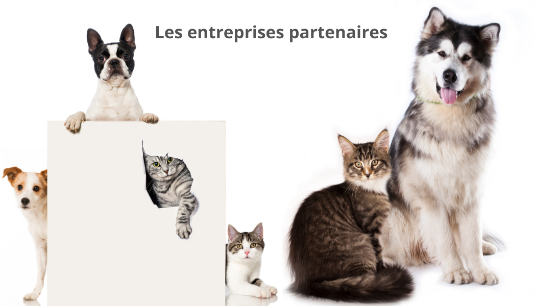 entreprise partenaire