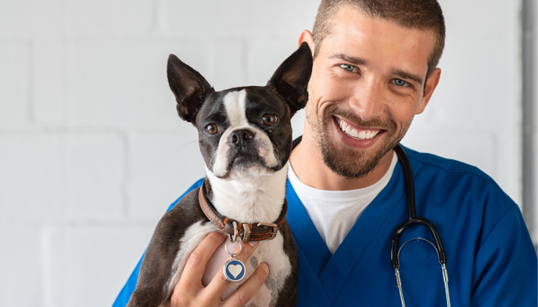 photo veterinaire avec chien et bois de cerf