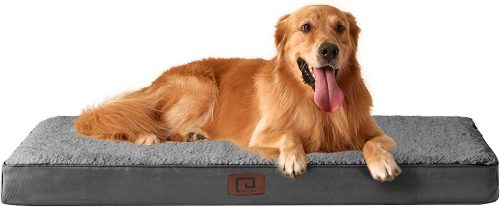 coussins pour chien coussins pour chien coussin chien coussin pour chien