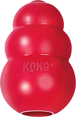 le kong
jouet kong
kong chien
