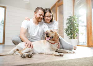 chien heureux et content chien heureux et content
