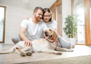 chien heureux  et content